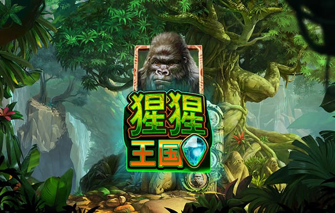 加拿大28预测结果走势